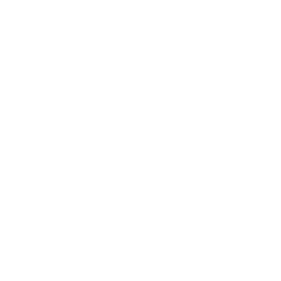Clean city